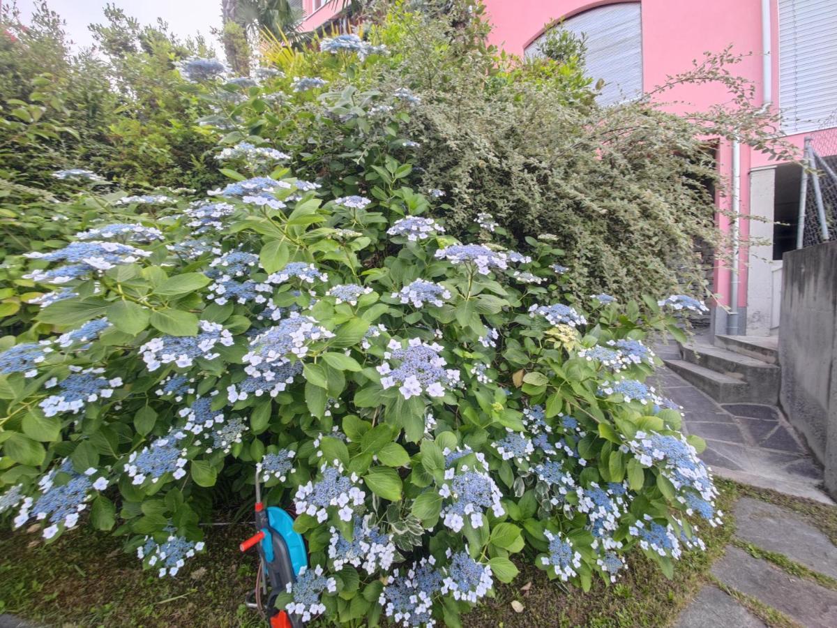 Residence Venus Garden ブリッサーゴ エクステリア 写真